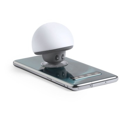 39493